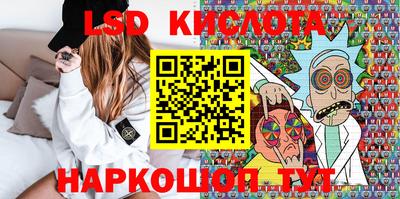 прущие грибы Будённовск