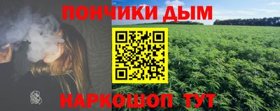 прущие грибы Будённовск