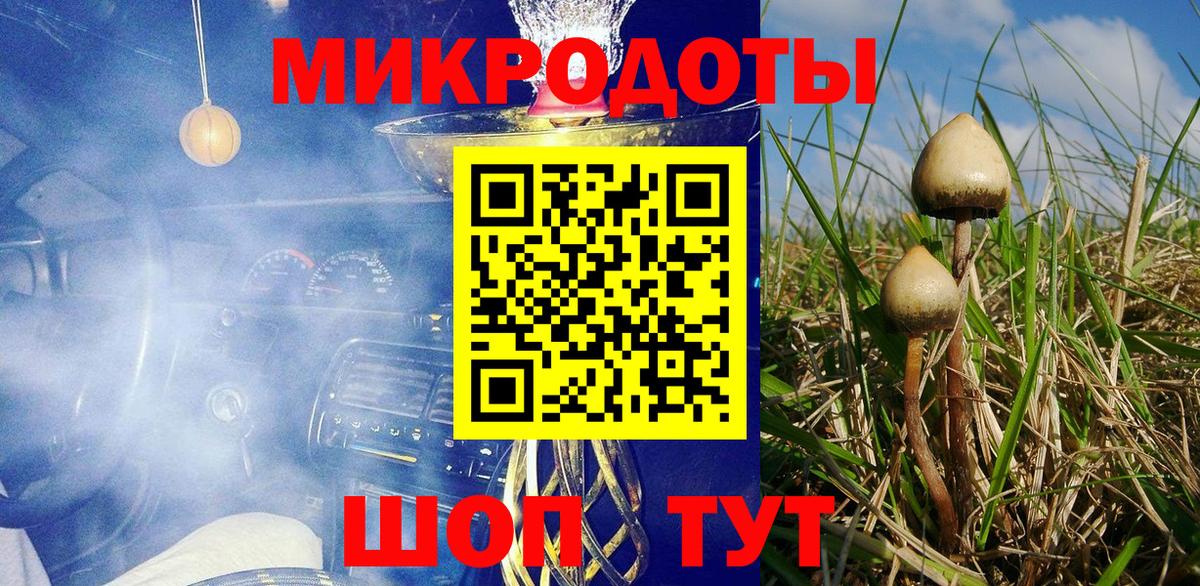 Рубцовск  цена   Вход с VPN  Галлюциногенные грибы GOLDEN TEACHER 